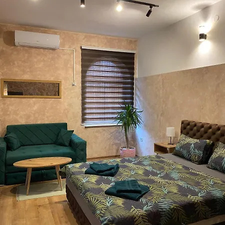 Apartment Delux Pozarevac
