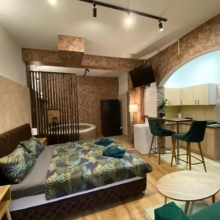 Apartment Delux Pozarevac